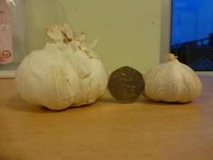 I think you'll agree the large one is much more impressive.