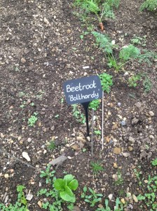 Mis-spelling I noticed, should be "Boltardy". Trust me to notice.