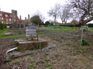Vegetable plot all ready for planting.
