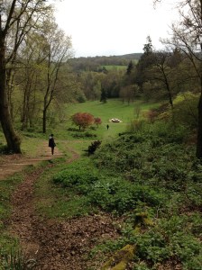 Just one of the breath taking views at Winkworth
