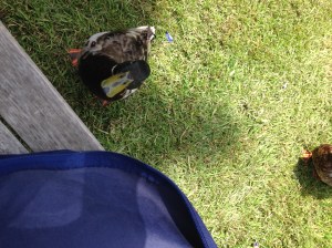 It's my lunch, not yours.