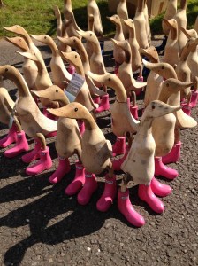 Ducks in their little pink Hunter Wellies. Mustn't get their feet wet now.