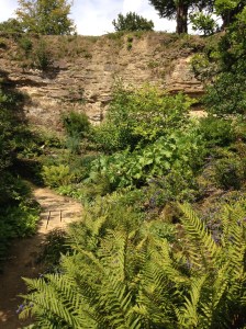 The perfect quarry garden. I could have got very lost in there if it wasn't for our map.