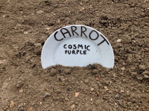 Now where can I get some cheap white plates? I know Ikea!!