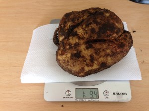 My what a whopper!!!