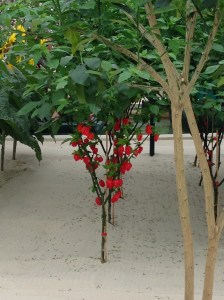 Feelin' hot hot hot!!