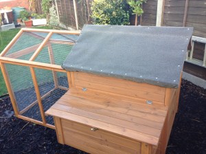 All ready for my new babies.