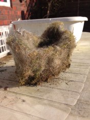 Such a perfect little home.