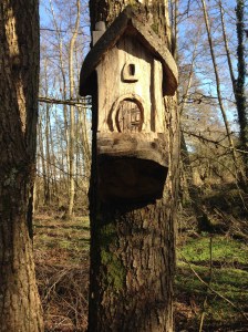 What a perfect little house.