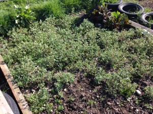 The bed before I got to work!!