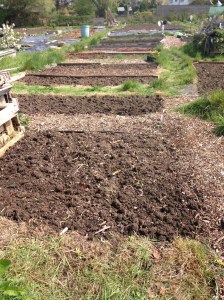 Yes I know the grass needs a trim, but I'll get round to it....soon!