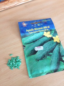 Bright green Spanish Cucumber seeds!!