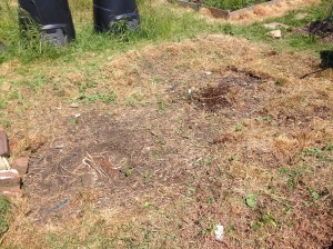 My greenhouses new home. Some weed suppressant, wood chips and paving slabs and it'll be ready.