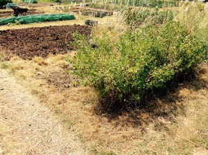 It's surprising what an extra pair of hands can do.