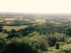 The view at Leith Hill.