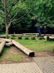 All three of them springing from log to log. I'm pleased to report no one broke their ankle.