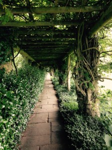 A perfect place to shelter from the blazing sun!! When we get that I don't know.