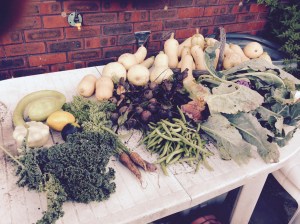 This should keep us going for a while at least. Now where to store it?