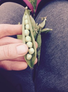 8 little peas in a pod. Very tasty!!