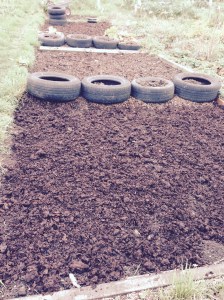 4 beds are manured and ready....just loads more still to do.