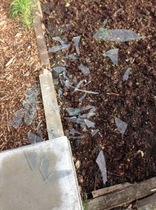 Oh Barney you naught little storm!!