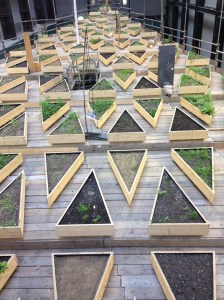 the urge to go and weed was immense.