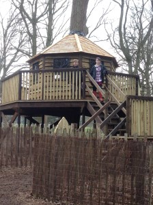 This has to be the coolest treehouse I've ever seen.