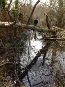 This is a path, but just flooded from the neighbouring field, and very muddy. Lucky we wore our wellies!