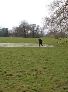 George to the rescue!! 