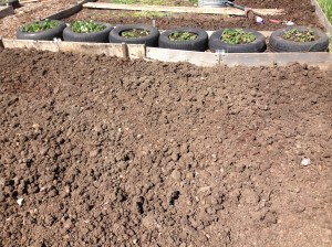 Weed free, but for how long?