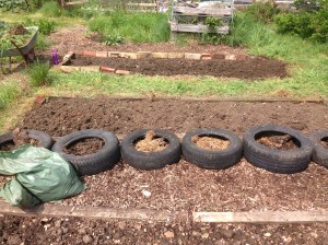 That's another couple of beds done. So nearly a quarter of my area is done, just the other three quarters to go.