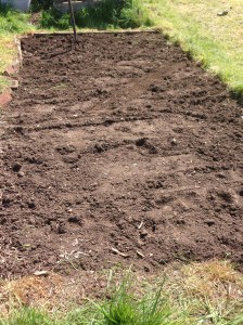 All ready fro next weeks sowing fest! Can't wait.