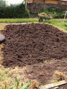 All ready for the Bean canes and the Squash and Pumpkins.