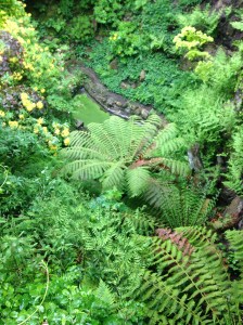 The Quarry below, which you could only view from above.