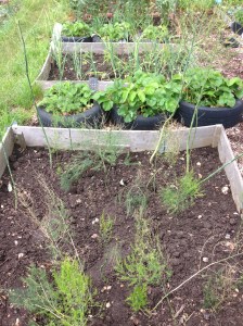 That's one eighth done, just seven eighths left to go!!