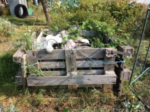 I still can't take this down because some wasps have now made a home in it!!